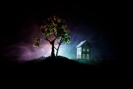 Old house with a Ghost in the forest at night or Abandoned Haunted Horror House in fog. Old mystic building in dead tree forest. Trees at night with moon. Surreal lights. Horror Halloween conceptの写真素材