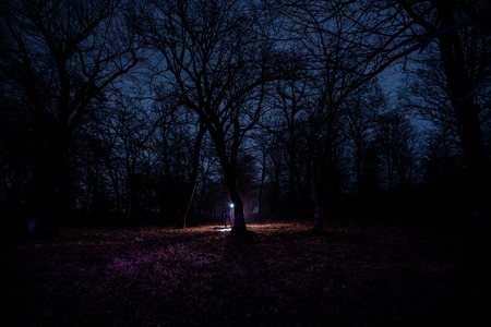 strange light in a dark forest at night. Silhouette of person standing in the dark forest with light. Dark night in forest at fog time. Surreal night forest scene. Horror halloween concept. Fairytaleの写真素材