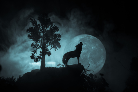 Silhouette of howling wolf against dark toned foggy background and full moon or Wolf in silhouette howling to the full moon. Halloween horror concept. Selective focusの写真素材