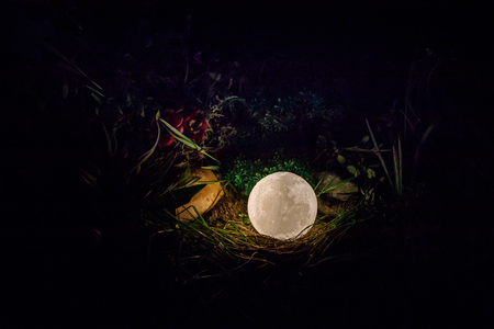 Surreal fantasy concept - full moon lying in grass. Decorated photo. Abstract fairy backgrounds . Selective focusの写真素材