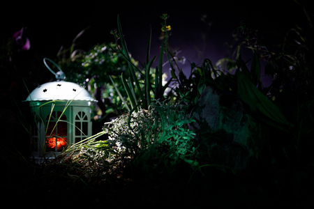 Fantasy decorated photo. Small beautiful house in grass with light. Old house in forest at night with moon. Dark foggy lighted background. Selective focusの写真素材