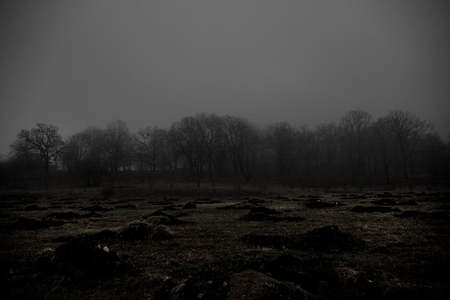 Landscape with beautiful fog in forest on hill or Trail through a mysterious winter forest with autumn leaves on the ground. Road through a winter forest. Magical atmosphere. Azerbaijan natureの写真素材
