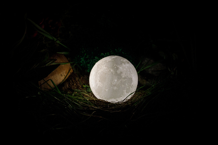 Surreal fantasy concept - full moon lying in grass. Decorated photo. Abstract fairy backgrounds . Selective focusの写真素材