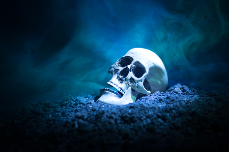frontview of human skull open mouth on dark toned foggy background. Horror concept. Empty space.の写真素材