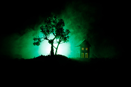 Old house with a Ghost in the forest at night or Abandoned Haunted Horror House in fog. Old mystic building in dead tree forest. Trees at night with moon. Surreal lights. Horror Halloween conceptの写真素材