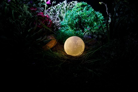 Surreal fantasy concept - full moon lying in grass. Decorated photo. Abstract fairy backgrounds ....