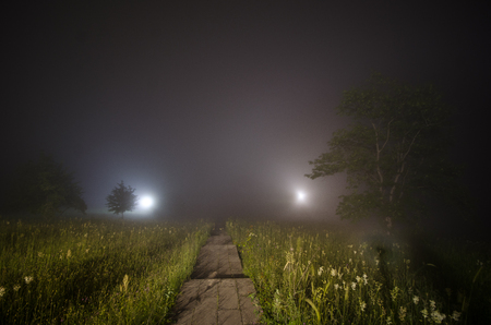 Beautiful night landscape of big full moon rising over the mountain road with hill and trees. Green meadow foggy night. mystical conceptの写真素材