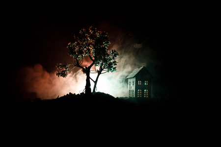 Old house with a Ghost in the forest at night or Abandoned Haunted Horror House in fog.の写真素材