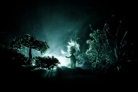 Horror Halloween decorated conceptual image. Alone girl with the light in the forest at night. Silhouette of girl standing between trees with surreal light on background. Selective focus.の写真素材