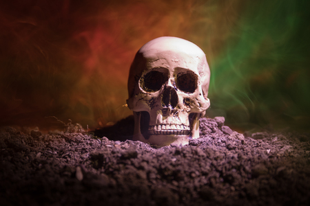 frontview of human skull open mouth on dark toned foggy background. Horror concept. Empty space.の写真素材