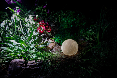 Surreal fantasy concept - full moon lying in grass. Decorated photo. Abstract fairy backgrounds . Selective focusの写真素材