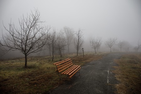 Empty bench at park near pond by foggy day, minimalistic cold season scene. bench at the lake in the fog in the forest. Bench near lake with fog. Azerbaijan Nature. Caucasusの写真素材