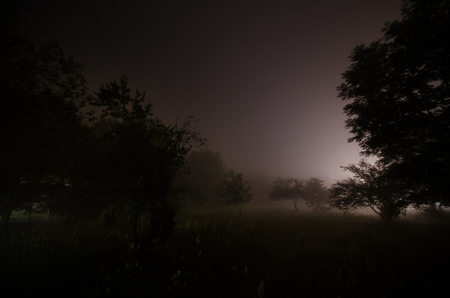 Beautiful night landscape of big full moon rising over the mountain road with hill and trees. Green meadow foggy night. mystical conceptの写真素材
