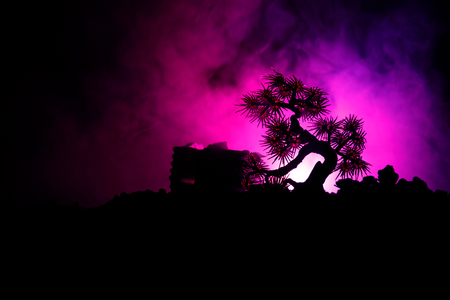 Silhouette Tree on full moon background. Full moon rising above japanese style tree against toned foggy sky. Decorated photoの写真素材