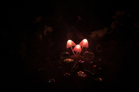 Three fantasy glowing mushrooms in mystery dark forest close-up. Beautiful macro shot of magic mushroom or three souls lost in avatar forest. Fairy lights on background with fog. Selective focusの素材 [FY310101218788]