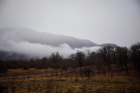 Landscape with beautiful fog in forest on hill or Trail through a mysterious winter forest with autumn leaves on the ground. Road through a winter forest. Magical atmosphere. Azerbaijan natureの写真素材