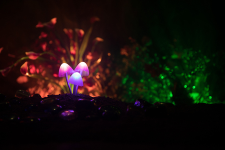 Three fantasy glowing mushrooms in mystery dark forest close-up. Beautiful macro shot of magic mushroom or three souls lost in avatar forest. Fairy lights on background with fog. Selective focusの写真素材