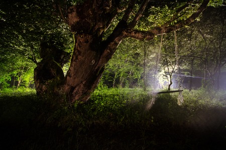 Night fog in the village. Mysterious. Moonlight. Lighting up Swing near the tree in the yard. The light from the backside of trees. Mystic night ountryside. Light in the fog. Horror sceneの写真素材