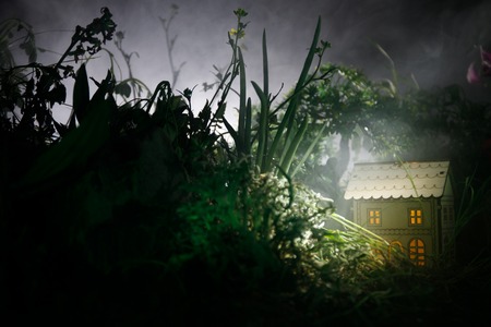 Fantasy decorated photo. Small beautiful house in grass with light. Old house in forest at night with moon. Dark foggy lighted background. Selective focusの写真素材
