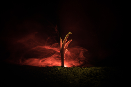 Halloween concept, zombie hand rising out from the ground or zombie hand coming out of his grave on dark toned foggy backgroundの写真素材