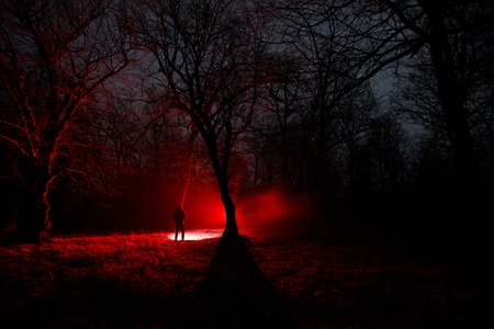 strange light in a dark forest at night. Silhouette of person standing in the dark forest with light. Dark night in forest at fog time. Surreal night forest scene. Horror halloween concept. Fairytaleの写真素材