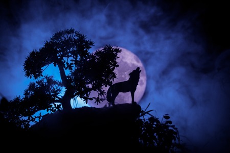 Silhouette of howling wolf against dark toned foggy background and full moon or Wolf in silhouette howling to the full moon. Halloween horror concept. Selective focusの写真素材