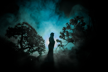 Horror Halloween decorated conceptual image. Alone girl with the light in the forest at night. Silhouette of girl standing between trees with surreal light on background. Selective focus.の写真素材