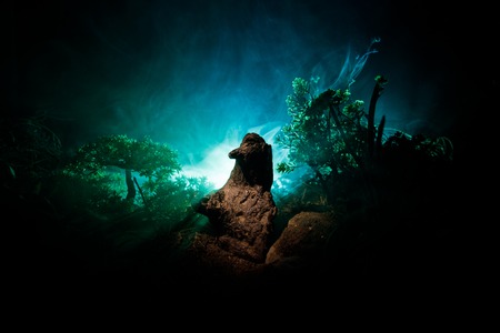 Horror silhouette of scary figure in forest at night. Female demon. Demons coming. Slhouette of devil or monster figure on a background of fire. Horror viewの写真素材