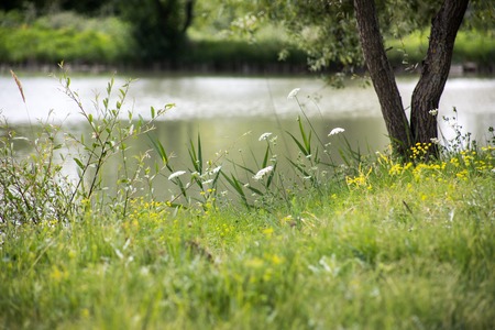 Beautiful landscape of forest Lake at mountains or Beautiful Forest Lake in the morning at summer time. Azerbaijan nature.の写真素材