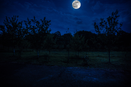 Mountain Road through the forest on a full moon night. Scenic night landscape of dark blue sky with moonの写真素材