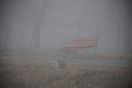 Empty bench at park near pond by foggy day, minimalistic cold season scene. bench at the lake in the fog in the forest. Bench near lake with fog. Azerbaijan Nature. Caucasusの写真素材