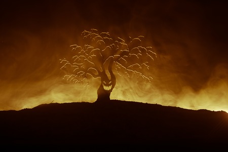 Silhouette of scary Halloween tree with horror face on dark foggy toned fire. Scary horror tree...