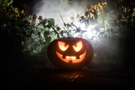 Halloween pumpkin. Carved Halloween pumpkin glowing in the dark. Outdoor shotの写真素材