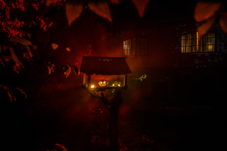 Pumpkin Burning In Forest At Night - Halloween Background. Scary Jack o Lantern smiling and glowing pumpkin with dark toned foggy background. Selective focusの写真素材