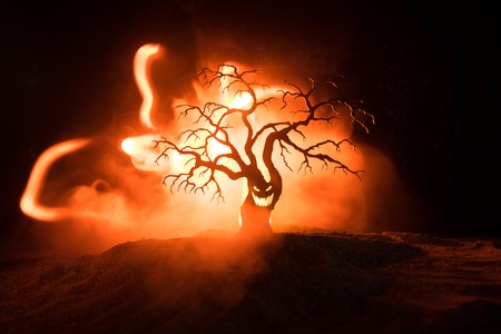 Silhouette of scary Halloween tree with horror face on dark foggy toned fire. Scary horror tree Halloween concept. Selective focusの写真素材