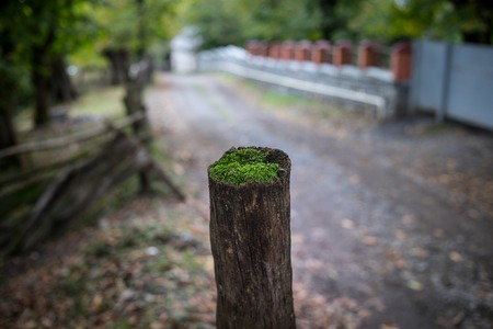 Natural hand made fence made of wooden tree brenches. Close up view of village fence. Azerbaijan. Nature background. Autumn timeの写真素材