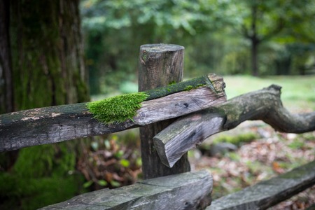Natural hand made fence made of wooden tree brenches. Close up view of village fence. Azerbaijan. Nature background. Autumn timeの写真素材