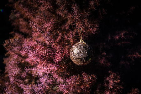 Bauble on tree. Christmas and New Year decoration on the pine tree branch with lights at the background at night outdoors. Concept of winter holidays. Selective focusの写真素材