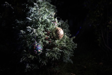 Bauble on tree. Christmas and New Year decoration on the pine tree branch with lights at the background at night outdoors. Concept of winter holidays. Selective focusの写真素材