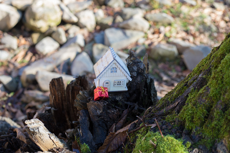 Christmas and New Year miniature house at forest in the sunlight. Little toy house close up. Festive background. Christmas decorations. Holiday and celebration concept. No snowの写真素材