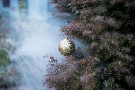 Bauble on tree. Christmas and New Year decoration on the pine tree branch outdoors. Concept of winter holidays. Selective focusの写真素材