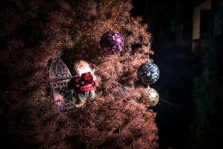 Bauble on tree. Christmas and New Year decoration on the pine tree branch with lights at the background at night outdoors. Concept of winter holidays. Selective focusの写真素材