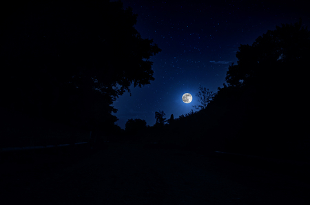 Beautiful night landscape with starry night mountains and forest. Night forest with green meadow and mountains in bright starry night or view of milky wayの写真素材