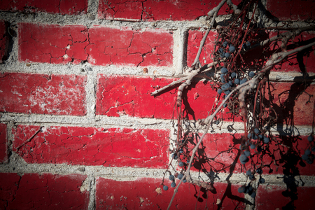 Red Brick Wall Framed by Leafy Foliage. beautiful wall of red bricks photographed in close-up. Selective focusの写真素材