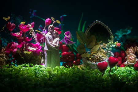 Will you marry me? Valentines Day artwork decoration. Beautiful bride with heart against dark toned background. Valentine greeting card decor. Selective focusの写真素材