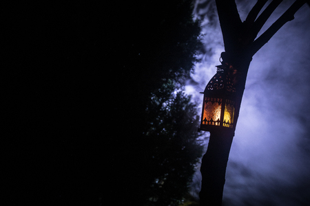 Beautiful colorful illuminated lamp in the garden in misty night. Retro style lantern at night outdoor. Selective focusの写真素材