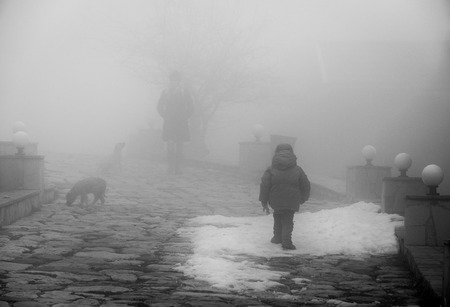 Boy and dog on the rural road in rainy foggy day. Greyscale. Little boy with little dog walking on streetの写真素材