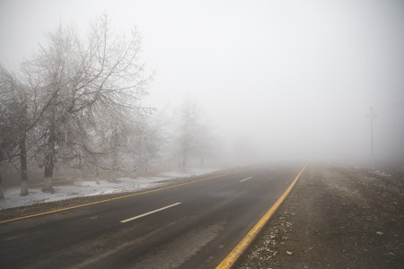 Landscape with beautiful fog in forest on hill or Trail through a mysterious winter forest with autumn leaves on the ground. Road through a winter forest. Magical atmosphere. Azerbaijan natureの写真素材