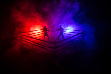 Man and woman boxing on the ring. Sport concept. Artwork decoration with toys on foggy toned dark...