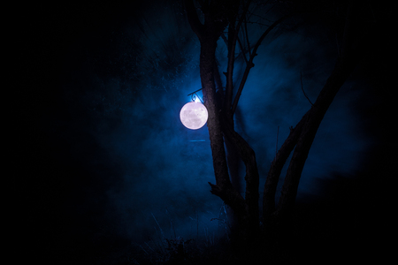 Beautiful Moon lamp in the garden in misty night. Retro style lantern at night outdoor. Selective focusの写真素材